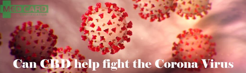 Can CBD help prevent or treat the Covid-19 coronavirus?