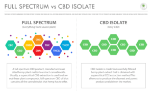 CBD Isolate vs Full Spectrum