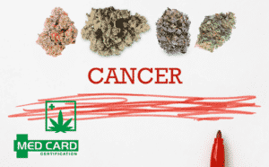 How Marijuana Helps With Cancer Treatment