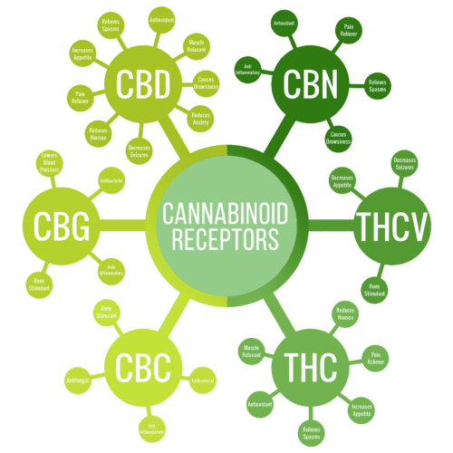 Cannabinoids THC O