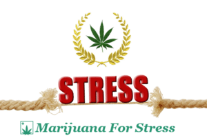 Marijuana for Stress Relief